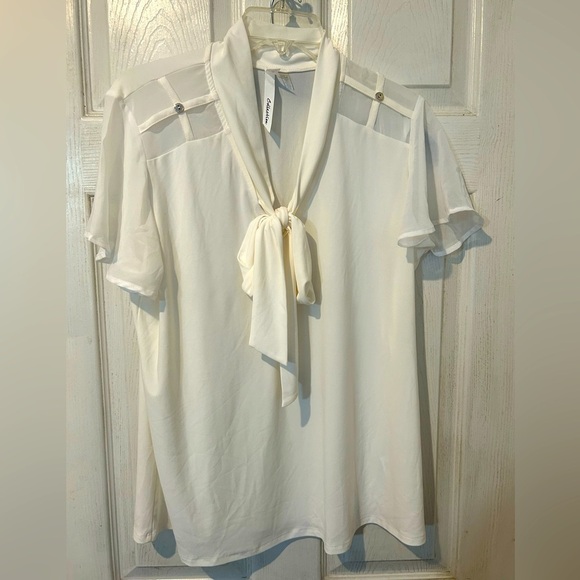 NY Collection Tops - NWOT NY Collection Chiffon Short Sleeves and Shoulders